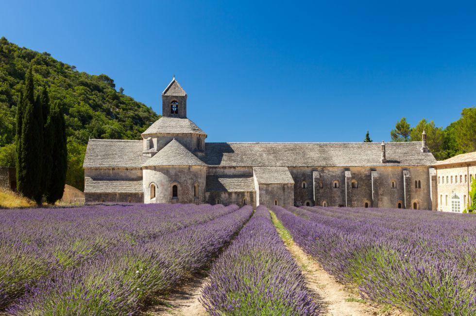 Abbaye de S&#xe9;nanque with blooming lavender field, Vaucluse, Provence, France.