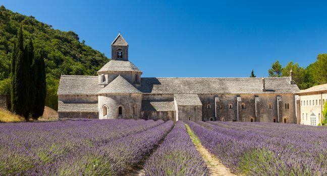 Abbaye de S&#xe9;nanque with blooming lavender field, Vaucluse, Provence, France.
