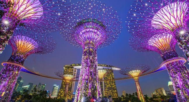 SINGAPORE -APRIL 6: Night view of Supertree Grove at Gardens by the Bay on April 6, 2013 in Singapore. Spanning 101 hectares of reclaimed land in central Singapore, adjacent to the Marina Reservoir; Shutterstock ID 143396617; Project/Title: Fodor's Go List