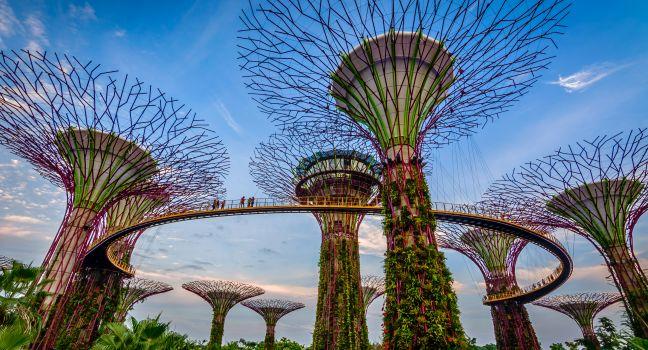 Supertrees, Gardens by the Bay, CBD, Singapore, Asia.
