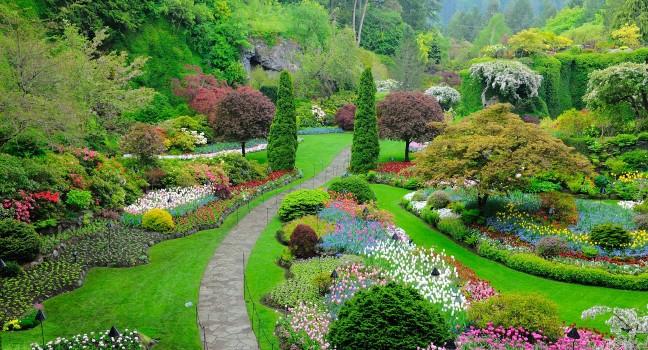 butchart garden in spring, victoria, british columbia, canada; Shutterstock ID 84772381; Project/Title: Fodor's Top 100; Downloader: Fodor's Travel