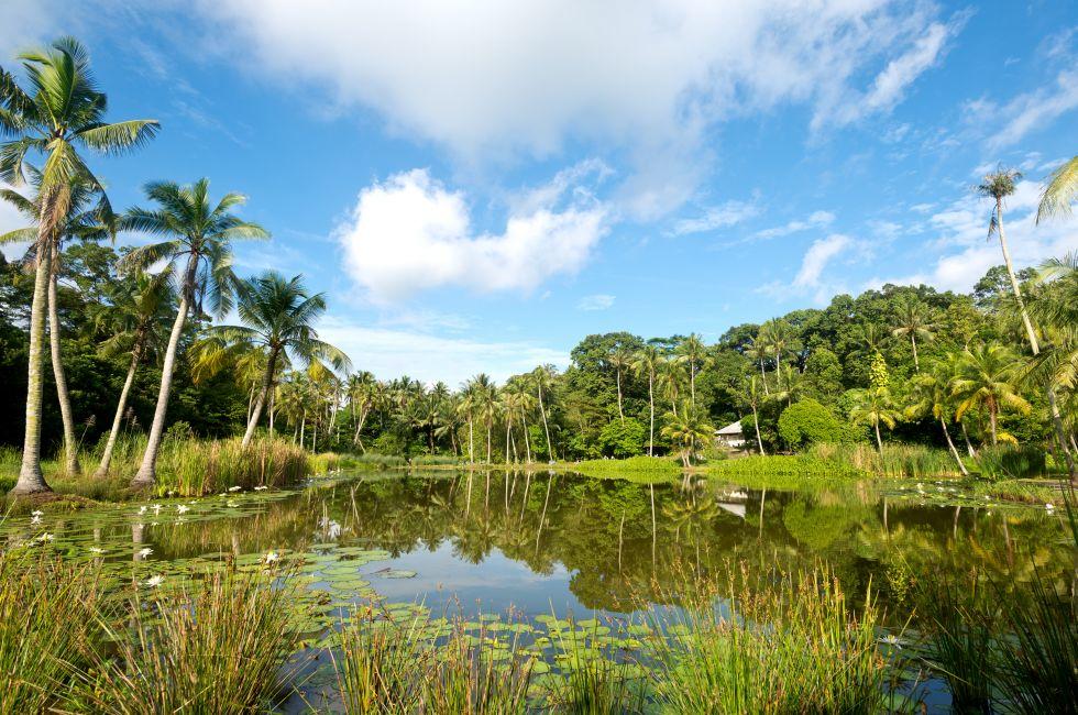 This image shows a Pond Scene on Pulau Ubn, Singapore.