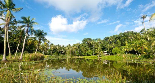 This image shows a Pond Scene on Pulau Ubn, Singapore.