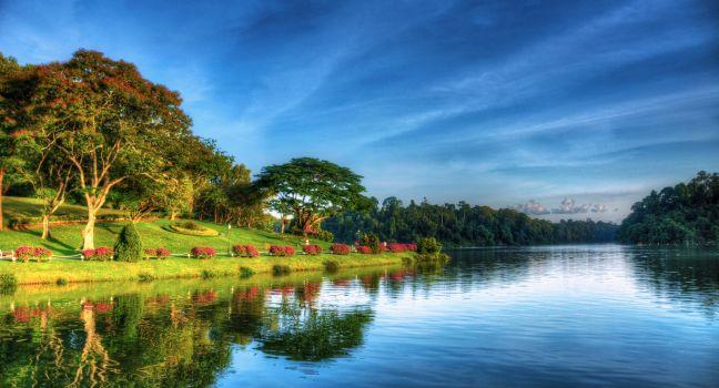 Sunrise, MacRitchie Reservoir Park, Greater Sinapore, Singapore, Asia.