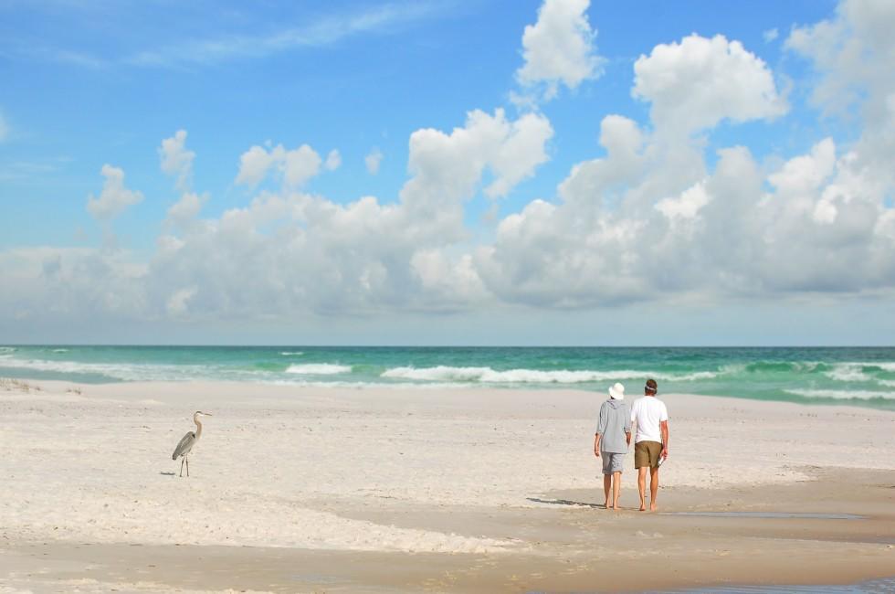Couple Walking by Heron on Beach; Shutterstock ID 6402346;