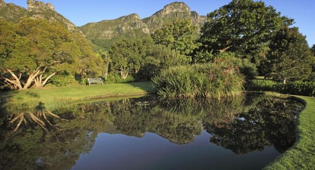 Pond in Kirstenbosch Botanical Garden, suburb of Cape Town, Western Cape, South Africa.