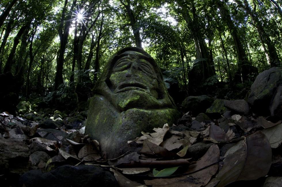 A stone carving resides on the floor of a rainforest on the island of Moorea in French Polynesia.  How old this carving is and who carved it is a mystery.; 