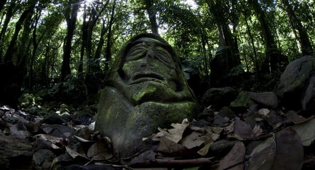 A stone carving resides on the floor of a rainforest on the island of Moorea in French Polynesia.  How old this carving is and who carved it is a mystery.; 