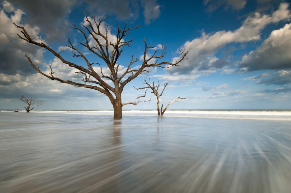 Charleston, South Carolina Beach Tree in Surf at Botany Bay Boneyard Beach Edisto Island.