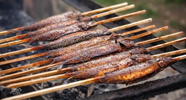 Grilled fish laying on hot grill on wooden sticks