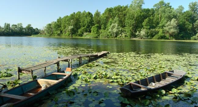 Nature park Lonjsko Polje - Croatia