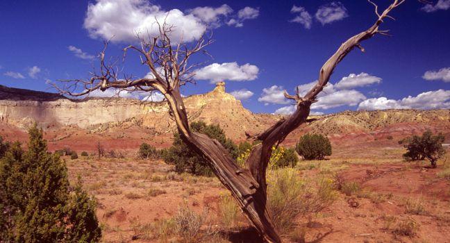 Ghost ranch, New Mexico