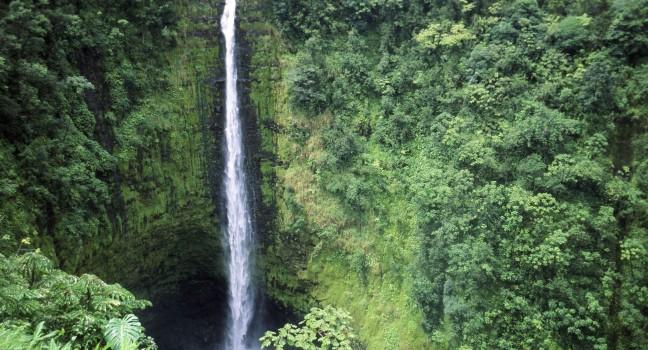 Akaka Falls State Park, Honomu, Hilo, Big Island, Hawaii, USA