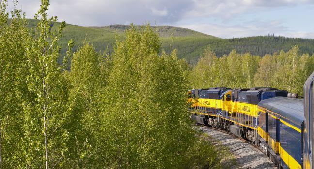 Side view of Denali Star train traveling through forest, Alaska, U.S.A.