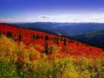 Yukon - Dawson Range in the fall, C