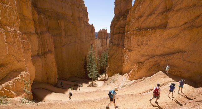 BRYCE CANYON, UTAH - SEPTEMBER 23: Hikers at Queens Garden trial at Bryce Canyon National Park in Utah on September 23, 2014