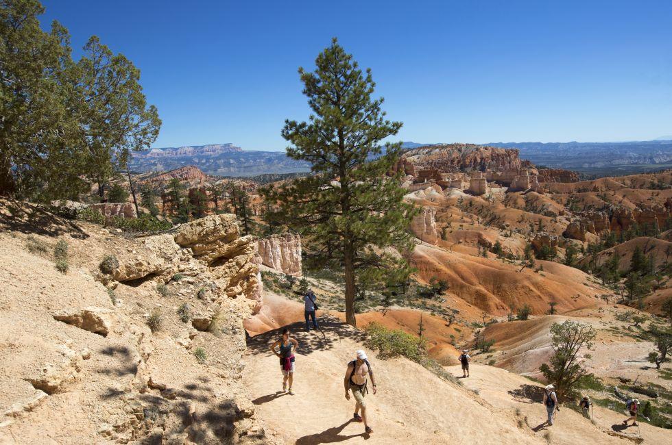 BRYCE CANYON, UTAH - SEPTEMBER 23: Hikers at Queens Garden trial at Bryce Canyon National Park in Utah on September 23, 2014 