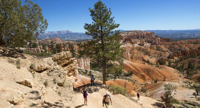 BRYCE CANYON, UTAH - SEPTEMBER 23: Hikers at Queens Garden trial at Bryce Canyon National Park in Utah on September 23, 2014 