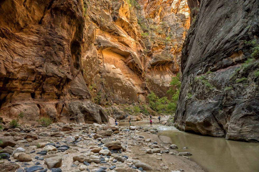 Zion National Park, Utah - July 30 2014: Tourists explore The North Fork of the Virgin River also called The Zion Narrows, one of the most scenic canyons to hike in Zion National Park 