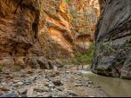 Zion National Park, Utah - July 30 2014: Tourists explore The North Fork of the Virgin River also called The Zion Narrows, one of the most scenic canyons to hike in Zion National Park 
