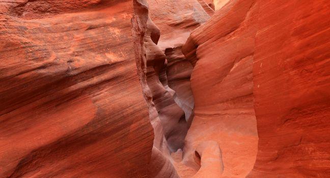 Desert slot canyon, Escalante, Utah, USA.