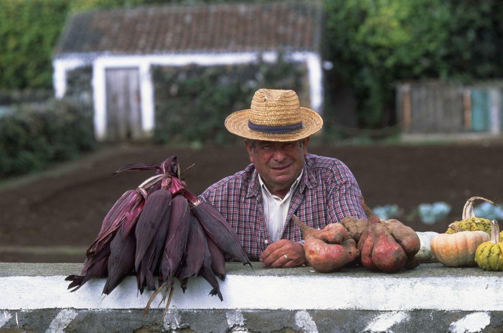 Root Vegetables, Near Angra Do Heroismo, Island of Terceira, Azores