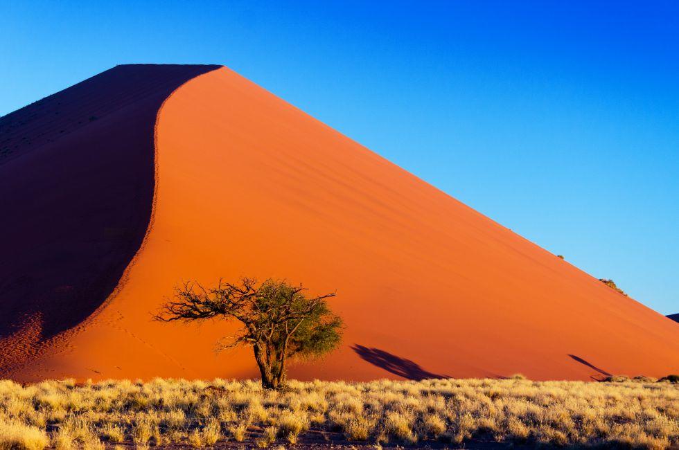African landscape, beautiful sunset dunes and nature of Namib desert, Sossusvlei, Namibia, South Africa