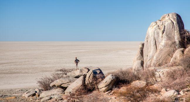 Traveler, The Makgadikgadi Pans, Botswana