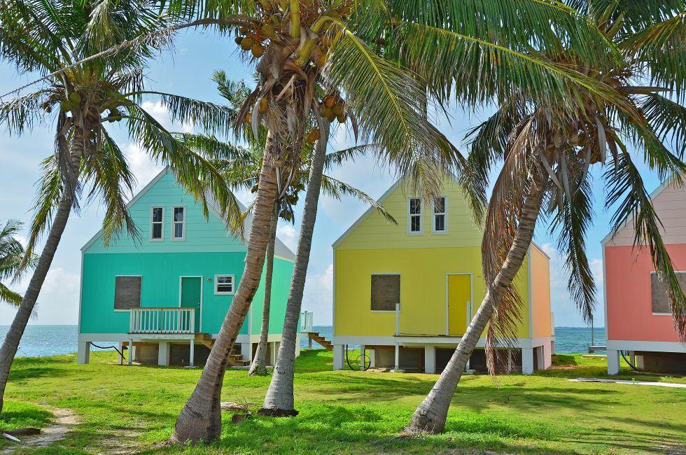 A tropical seascape photo of a line of colorful seaside houses and palm trees turquoise water behind them. Photo was taken on Green Turtle Cay, in Abaco, Bahamas.