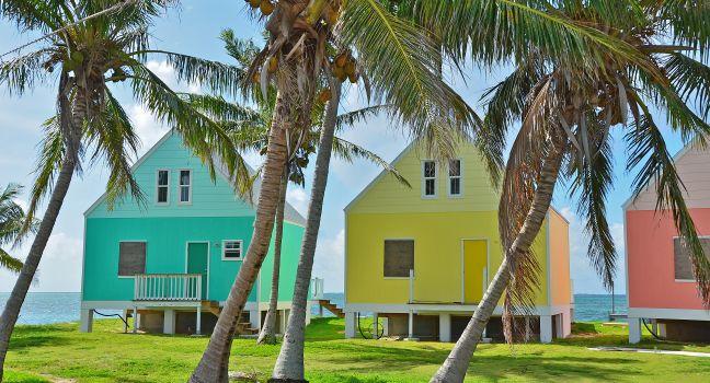 A tropical seascape photo of a line of colorful seaside houses and palm trees turquoise water behind them. Photo was taken on Green Turtle Cay, in Abaco, Bahamas.