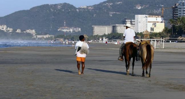 Horses on the Beach.