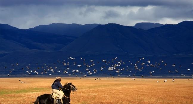 A gaucho riding his horse in Patagonia, 