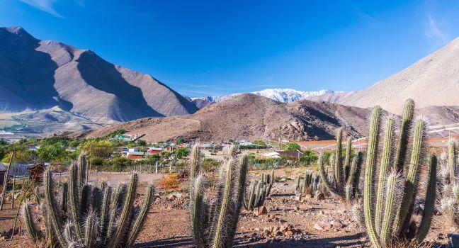 View of cactus with Andes mountains in the background in the Elqui Valley in Chile