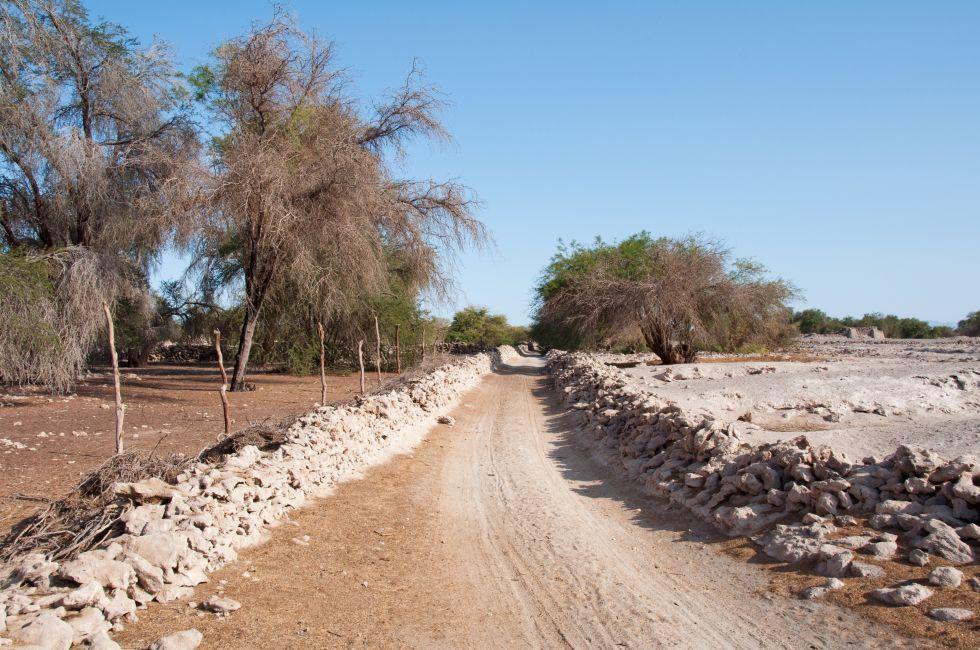 Gravel road at pampa del Tamarugal desert (Chile)
