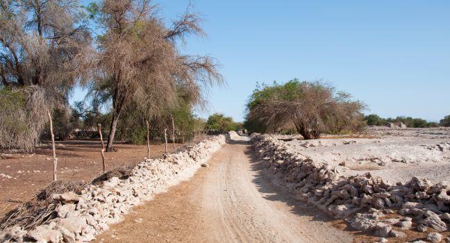 Gravel road at pampa del Tamarugal desert (Chile)