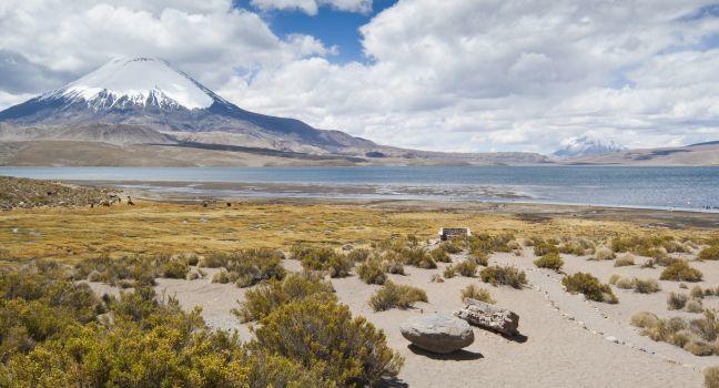 Chungar&#xc3;&#x83;&#xc2;&#xa1; Lake and Parinacota volcano, Lauca National Park, Chile