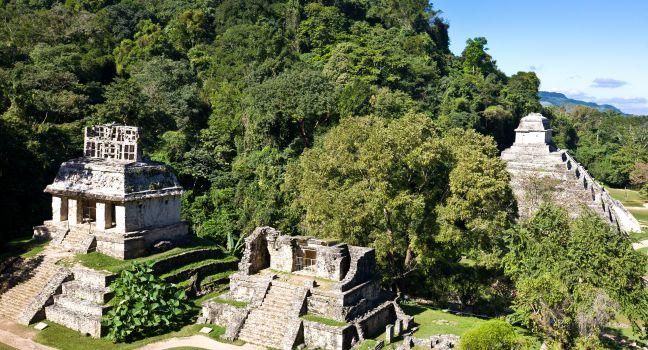 Palenque - world heritage, old mayan civilization, Mexico