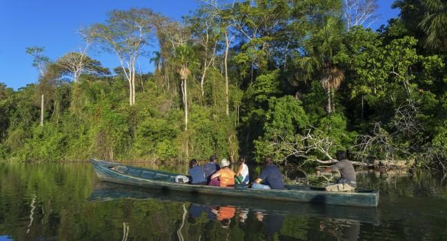 Discover the Amazon. Tambopata national park in Peru; 