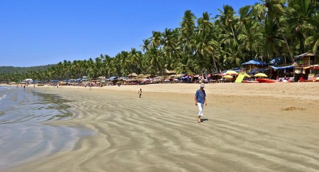 Exiting Palolem beach panorama on low tide with white wet sand and green coconut palms, Goa, India.