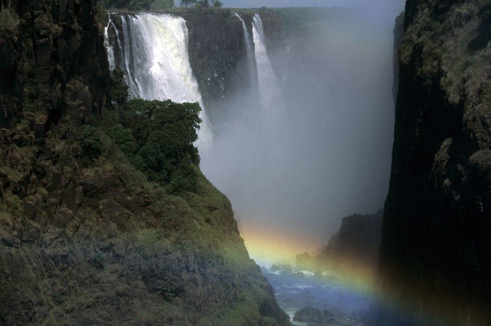 As the Zambezi becomes the world's largest sheet of falling water and grinds a mile-wide basaltic gorge, rainbows crown a thunderous roar, stitching together zambia and Zimbabwe