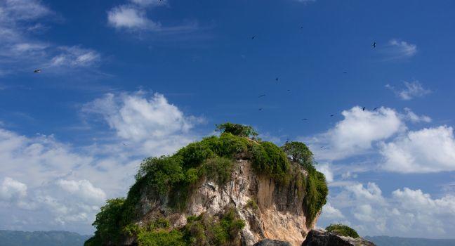 Los Haitises National Park, Bird Island, Dominican Republic, Caribbean