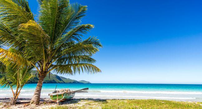 Boat, Palm Tree, Playa Rincon, Las Galeras, Dominican Republic, Caribbean