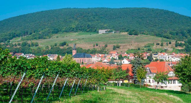 The idyllic Wine Village of Sankt Martin, German Wine Route, Rhineland-Palatinate, Germany.
