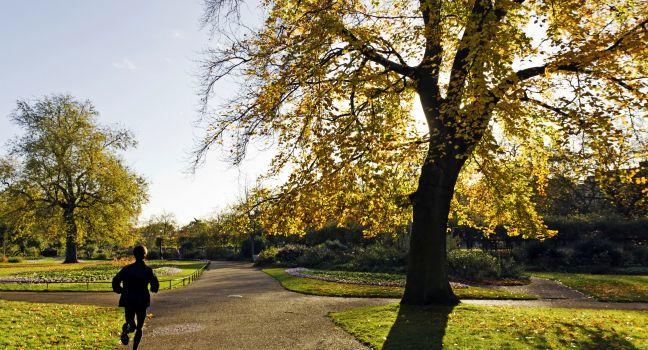 Women running in the morning. Hyde Park, London;