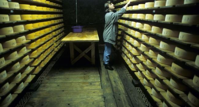 Cheese Cellar, Gruyere, Switzerland