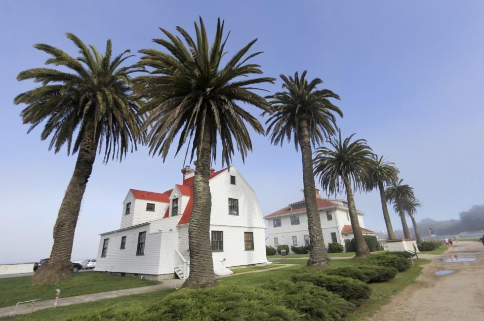 Palm trees surround man made structures on the area known as Crissy Field in San Francisco