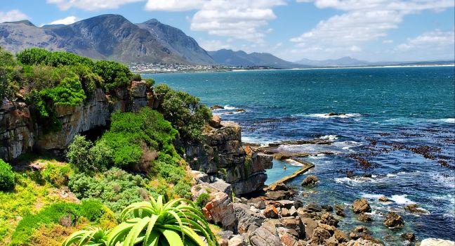Tropical plants against awesome sea and rocks. Shot in Hermanus, Walker Bay, Western Cape, South Africa.; 