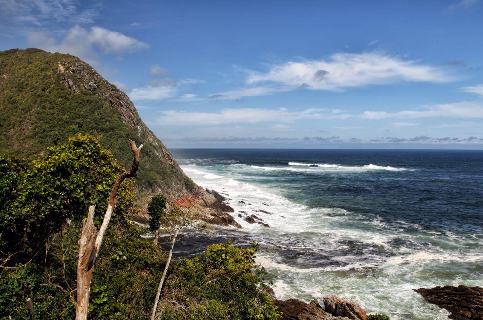 Coastal Landscape in the Tsitsikamma National Park, South Africa.