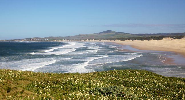 The beach at the holiday hamlet of Boknes, in the Eastern Cape's Sunshine Coast, South Africa.