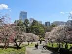 Imperial Palace East Gardens